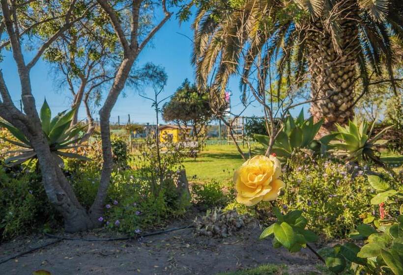 Отель Cabañas Villa Los Platanos