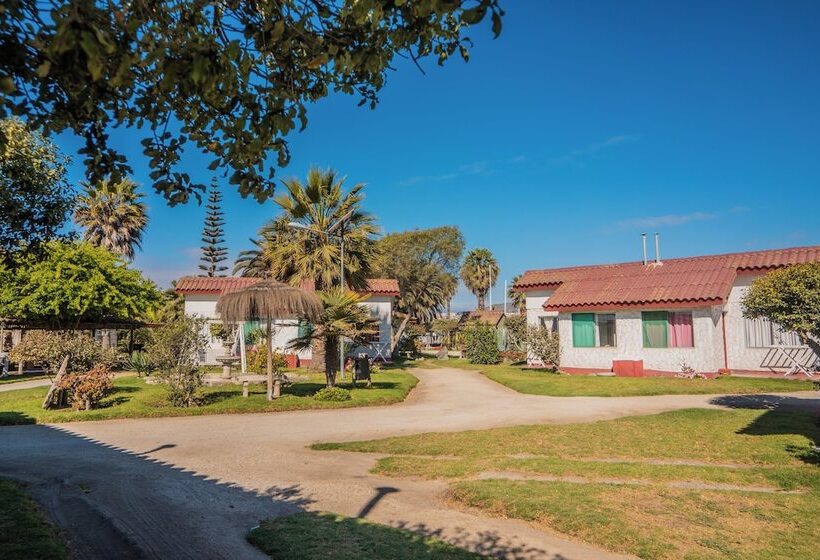 Отель Cabañas Villa Los Platanos