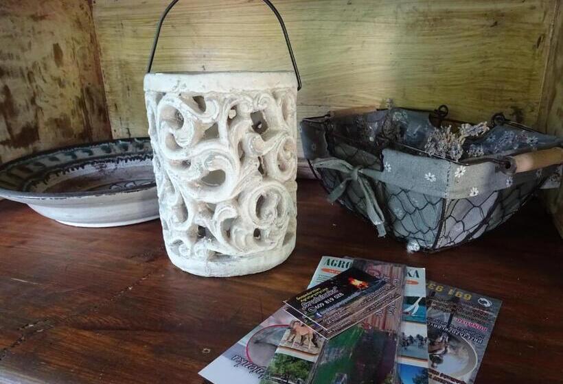 בית מלון כפרי Ga Grudzianka