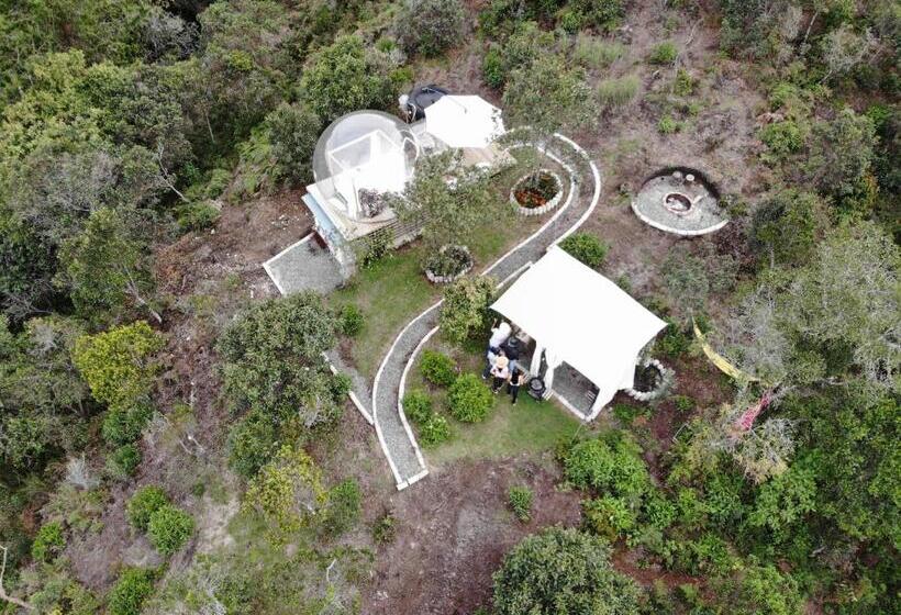 בית מלון כפרי Glamping Ancestros Ecoparque