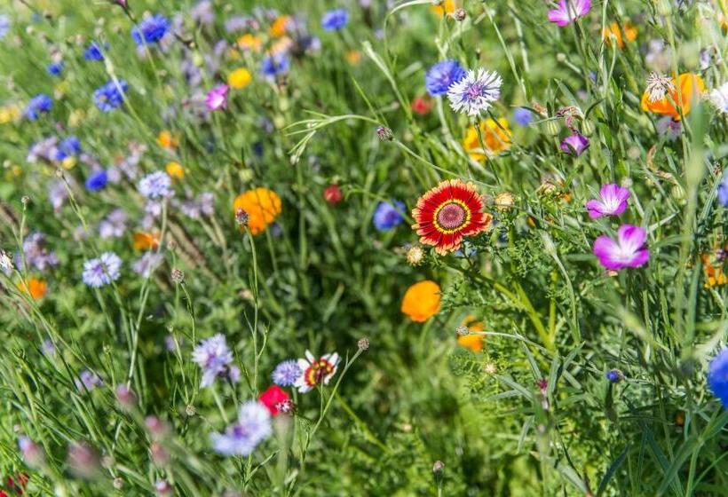 בית מלון כפרי St Michael Alpin Retreat