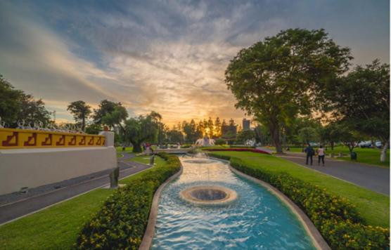 Отель La Primacía