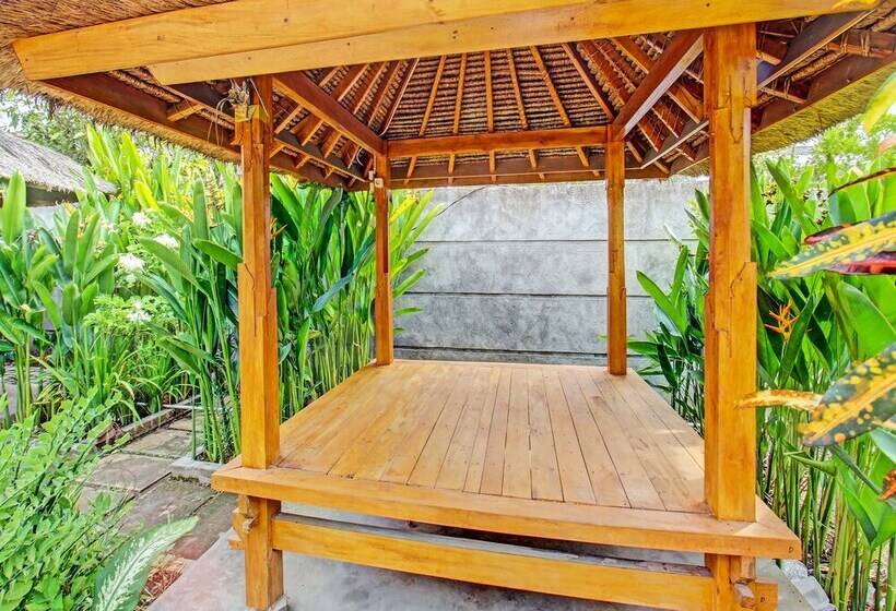 בית מלון כפרי Swan Homestay