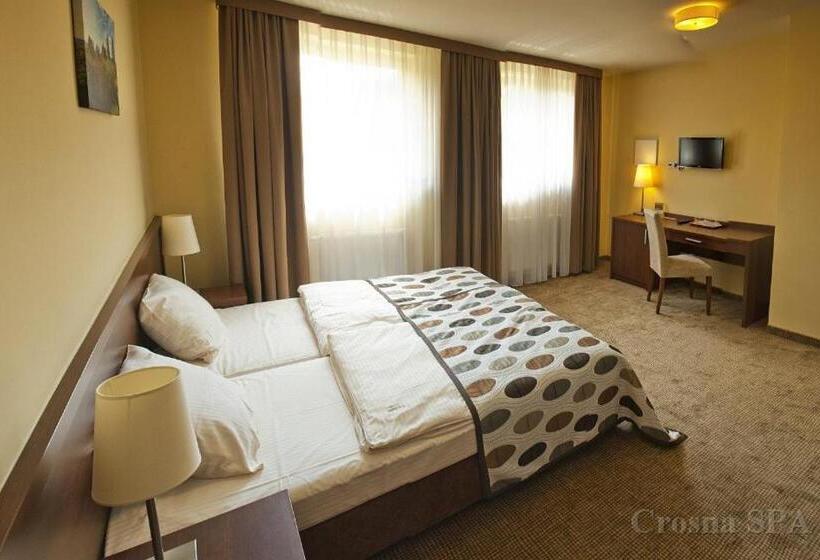 ホテル Pensjonat Crosna Spa