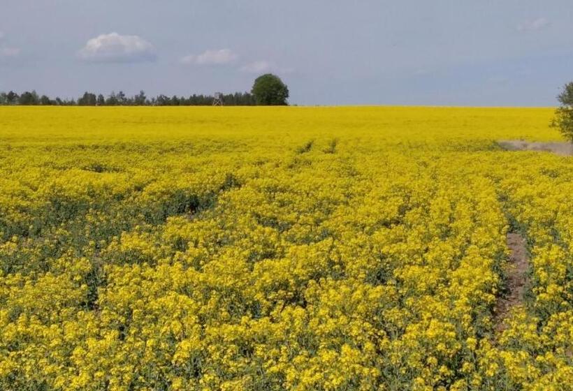 ホテル Dom Basen Sauna Pyzówka