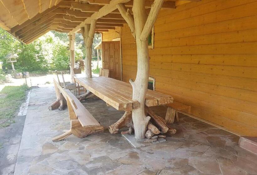 ホテル Dom Basen Sauna Pyzówka