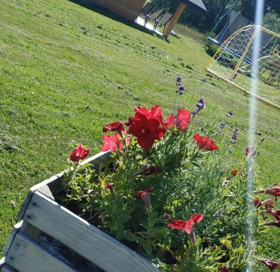 膳宿费 U Chowańców