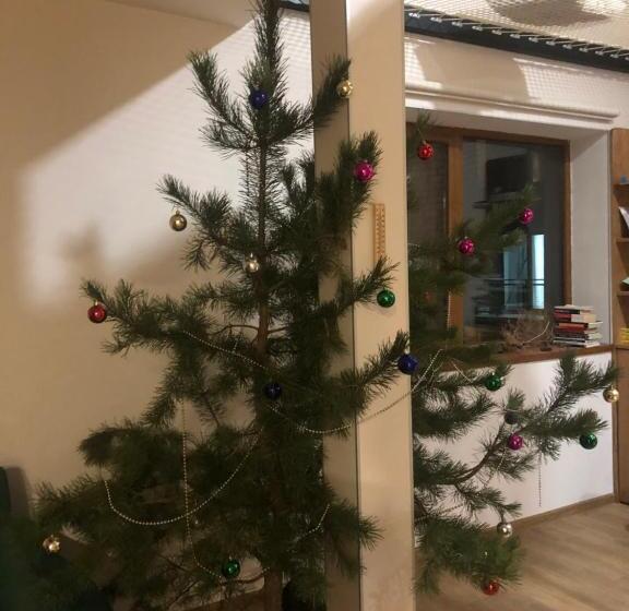 پانسیون Bakuriani Fun, Nice View And Design, Cosy And Spacious