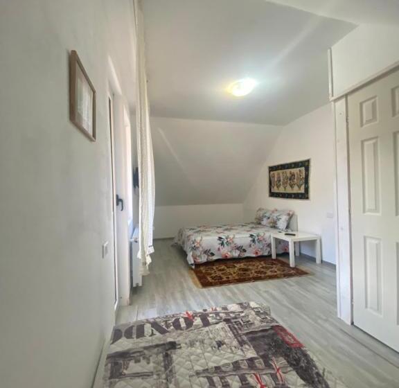 بنسيون Casa Mili