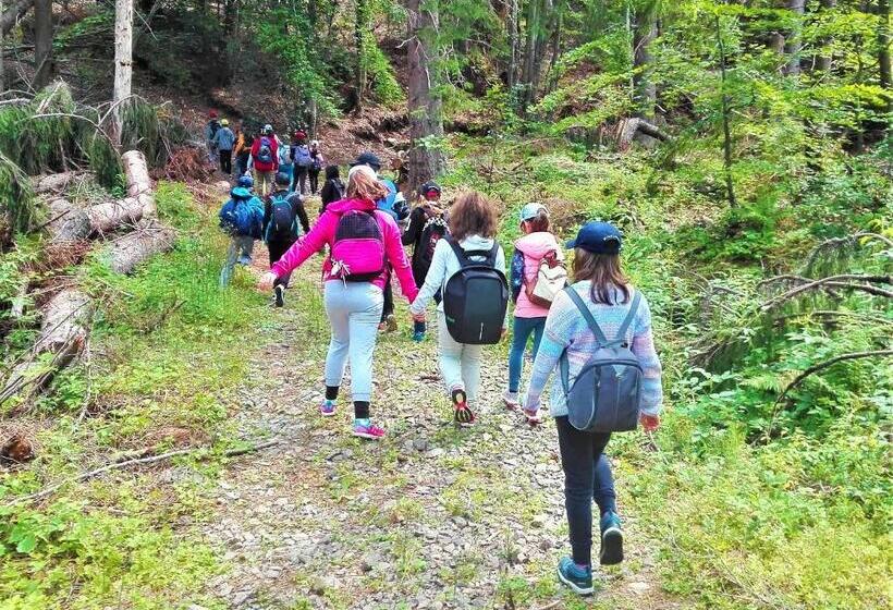 Пансион Casa Muscelelor