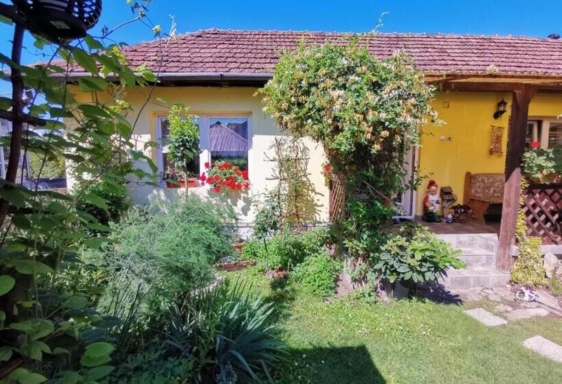 بنسيون Casa Otilia