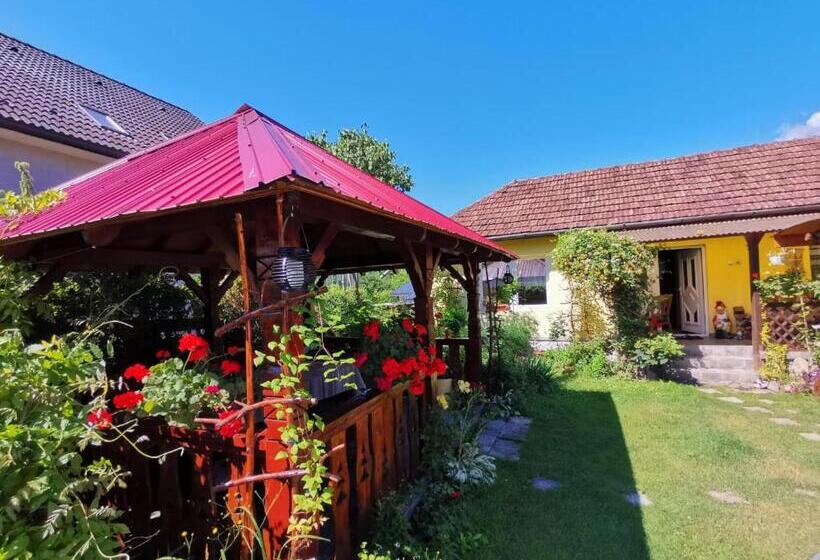 بنسيون Casa Otilia