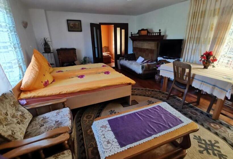 بنسيون Casa Otilia