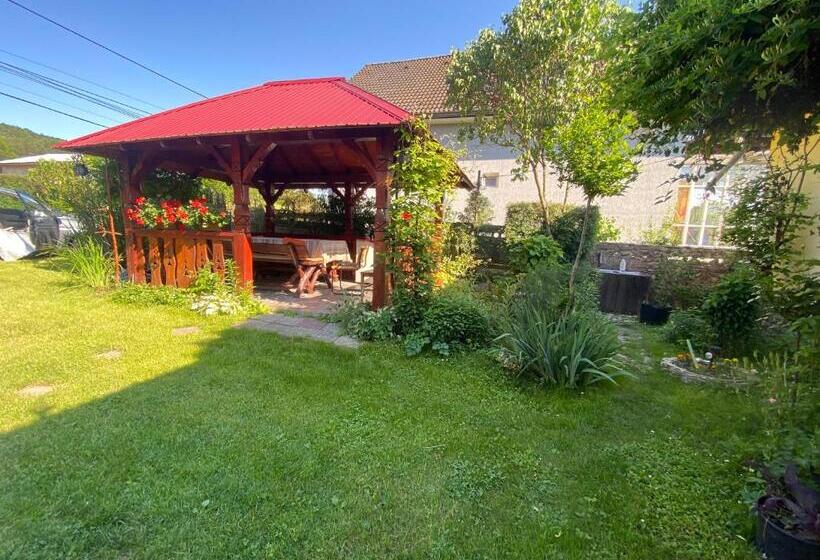 بنسيون Casa Otilia