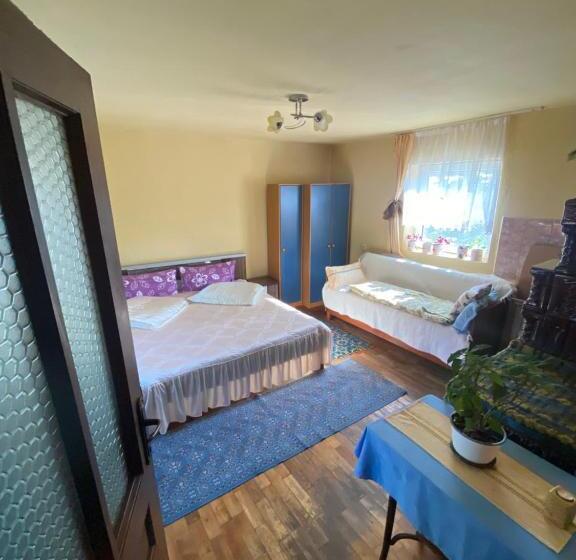 بنسيون Casa Otilia