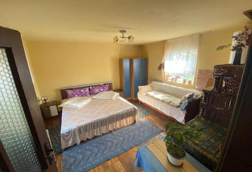 بنسيون Casa Otilia