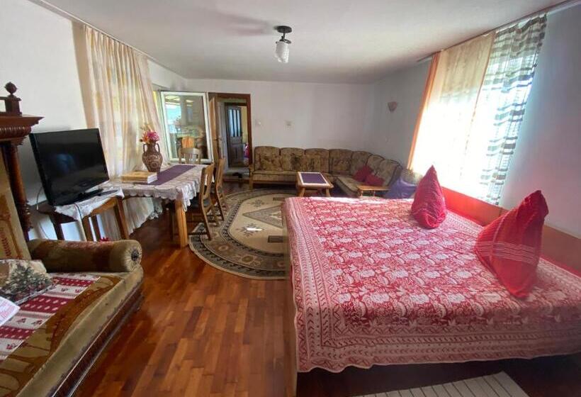 بنسيون Casa Otilia