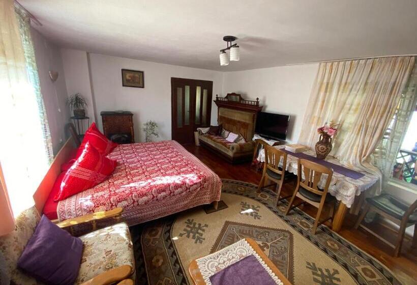 بنسيون Casa Otilia