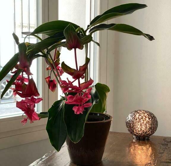 ペンション Casimiro Home