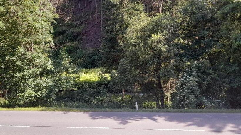 פנסיון Gasthof Wabitsch