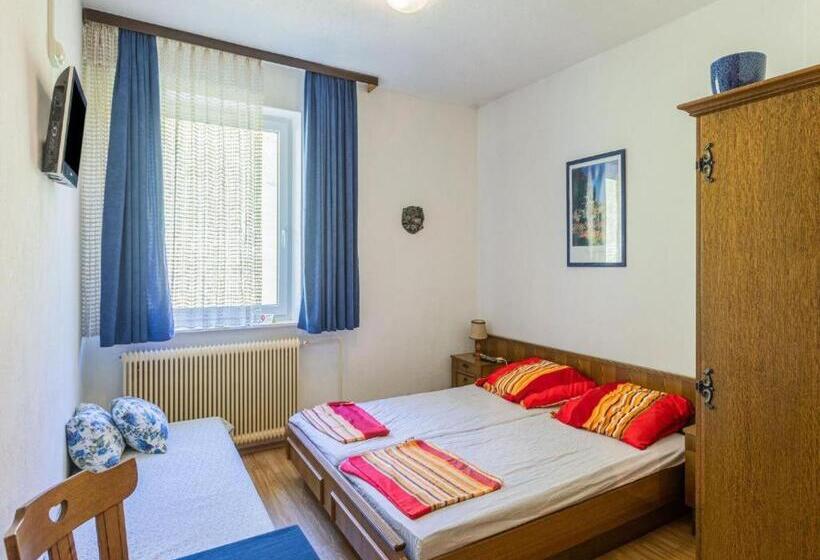 بنسيون Gasthof Wabitsch