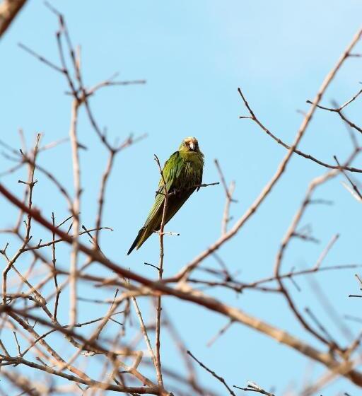 펜션 Hospedaria Coração Da Montanha