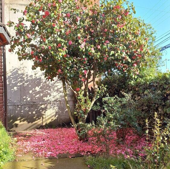 بنسيون Hostal Cuatro Estaciones    Hostel