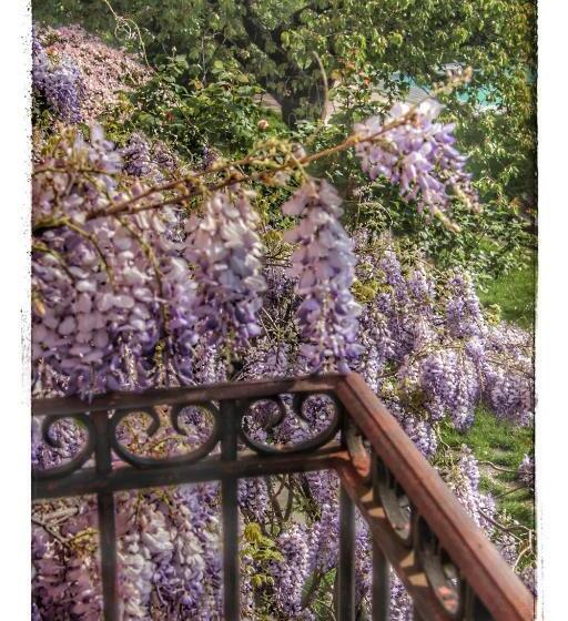 ペンション La Vigie