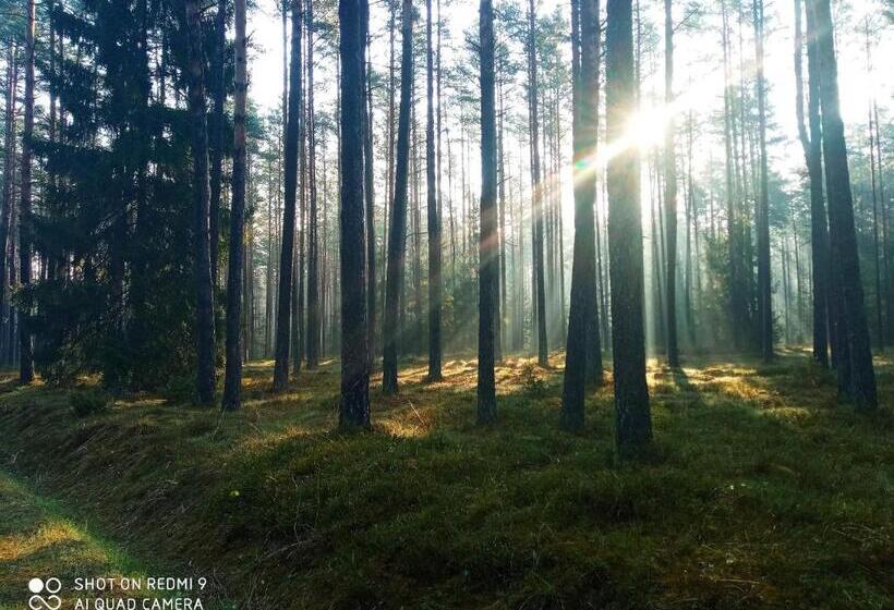 פנסיון Leśniczówka Szeroki Bór