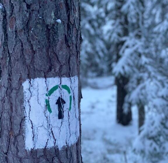 פנסיון Leśniczówka Szeroki Bór