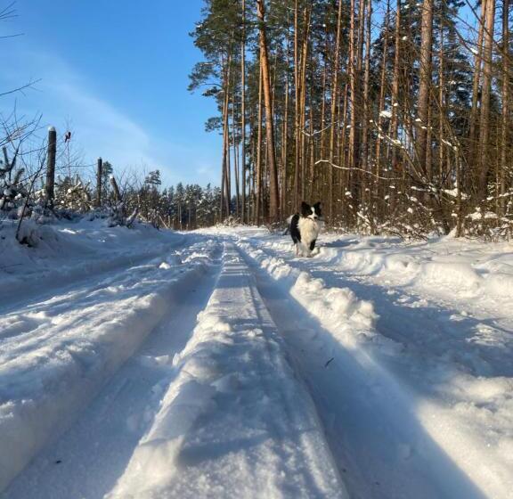 פנסיון Leśniczówka Szeroki Bór