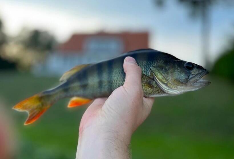 פנסיון Leśniczówka Szeroki Bór
