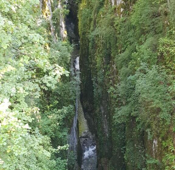 Пансион Les Morillons