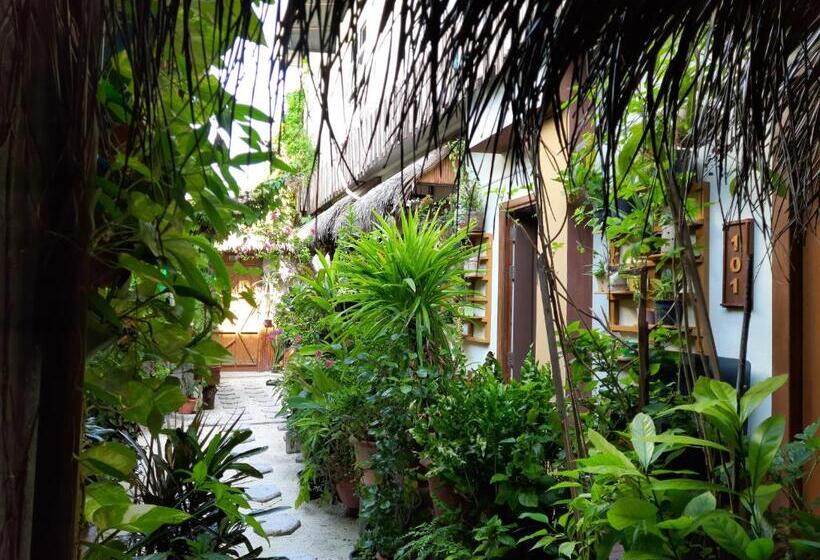 پانسیون Maladiwa Beach & Spa