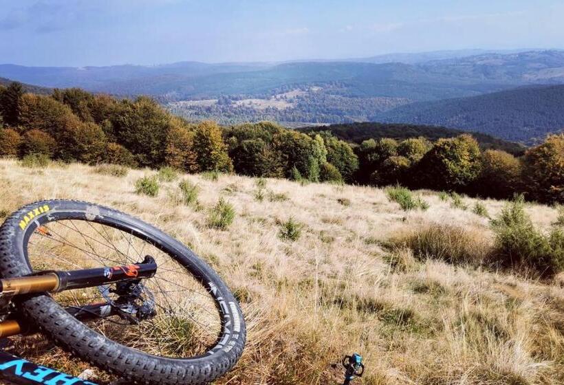 Пансион Motolan