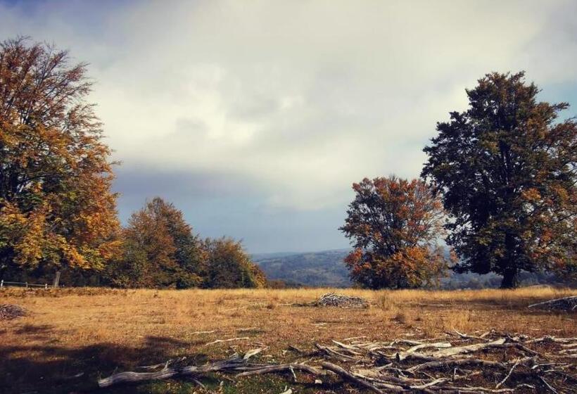 Пансион Motolan