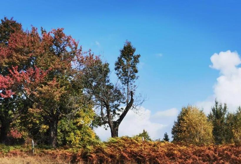 Пансион Motolan