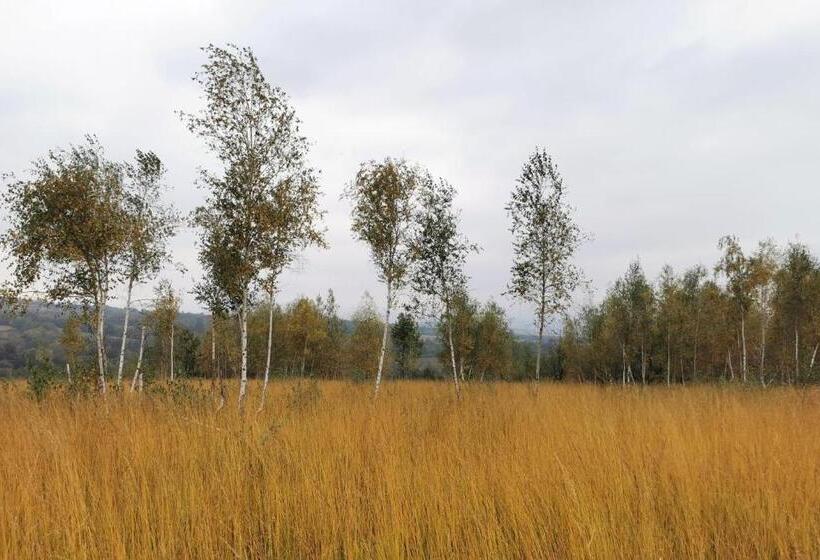 Пансион Motolan