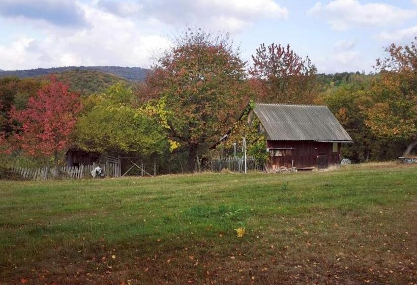 Пансион Motolan