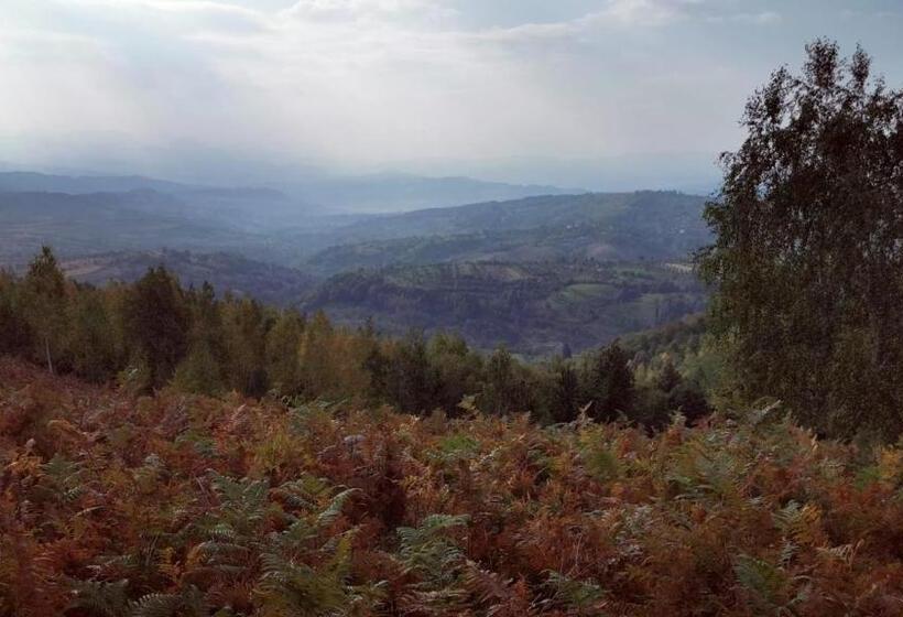 Пансион Motolan