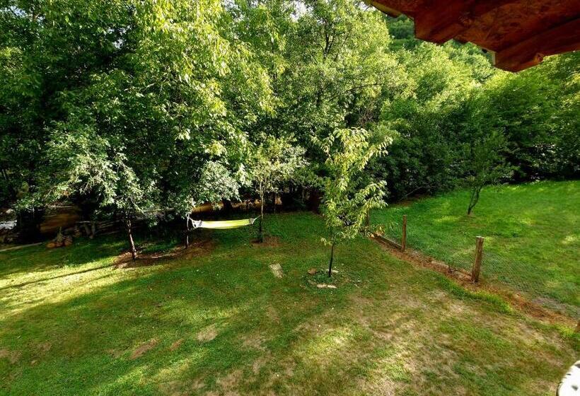 Пансион Motolan