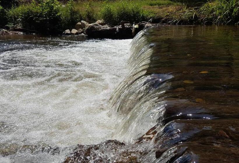 Пансион Motolan