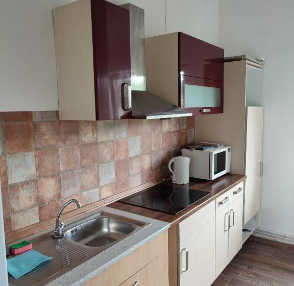 膳宿费 Neznašovy Restaurant Penzion