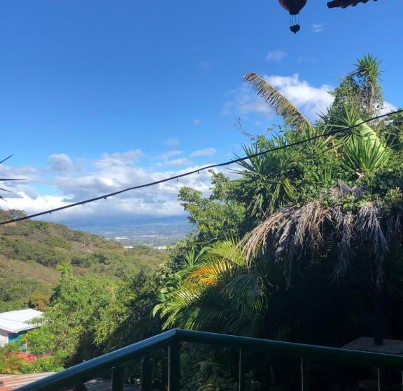 Пансион Owl House