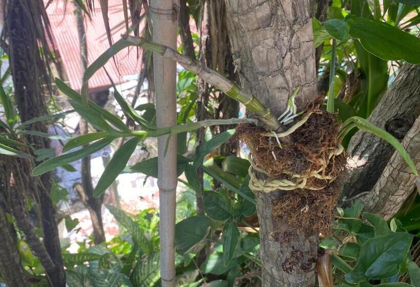 Пансион Owl House