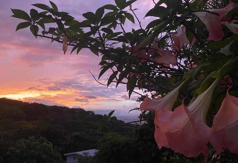 Пансион Owl House