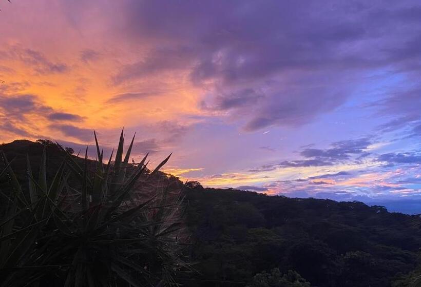 Пансион Owl House