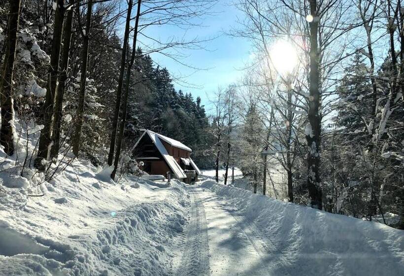 פנסיון Penzion Karolinka