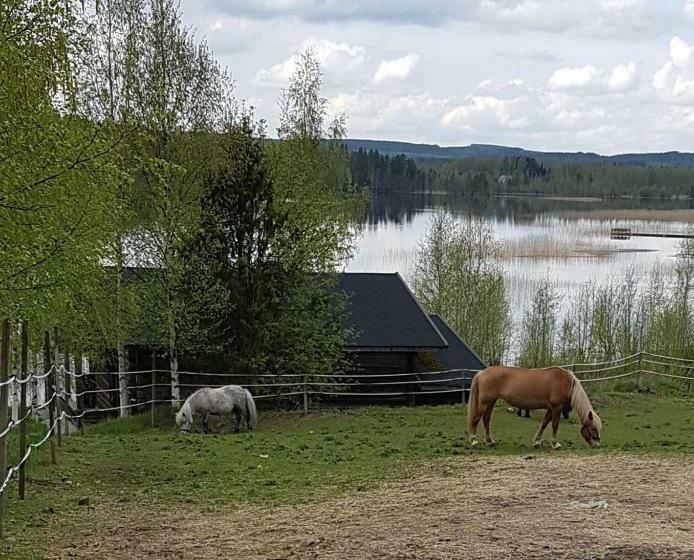 膳宿费 Ranta Keurula