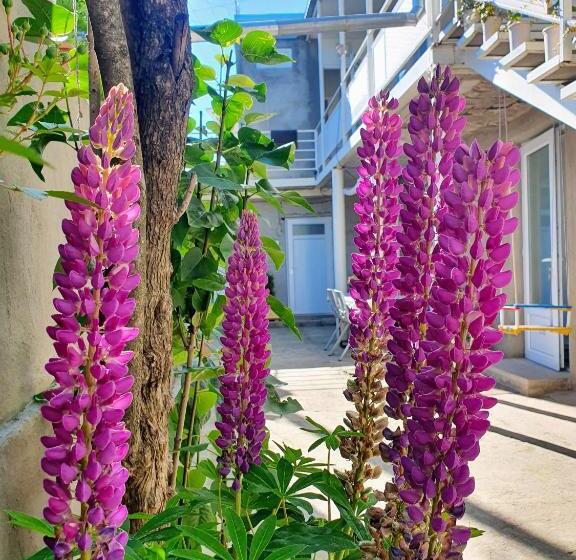 بنسيون Sunhome Stepanavan Guest House